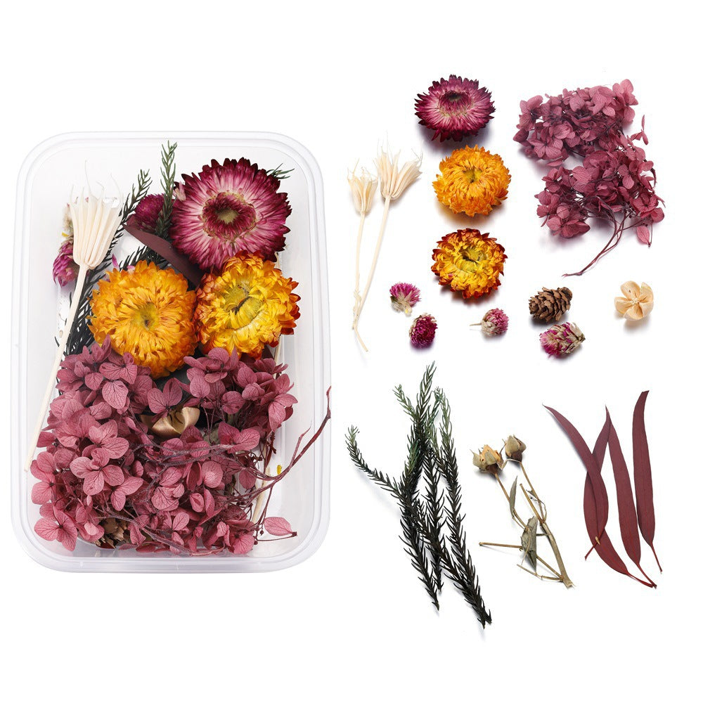 Dried Pressed Flowers and Leaves