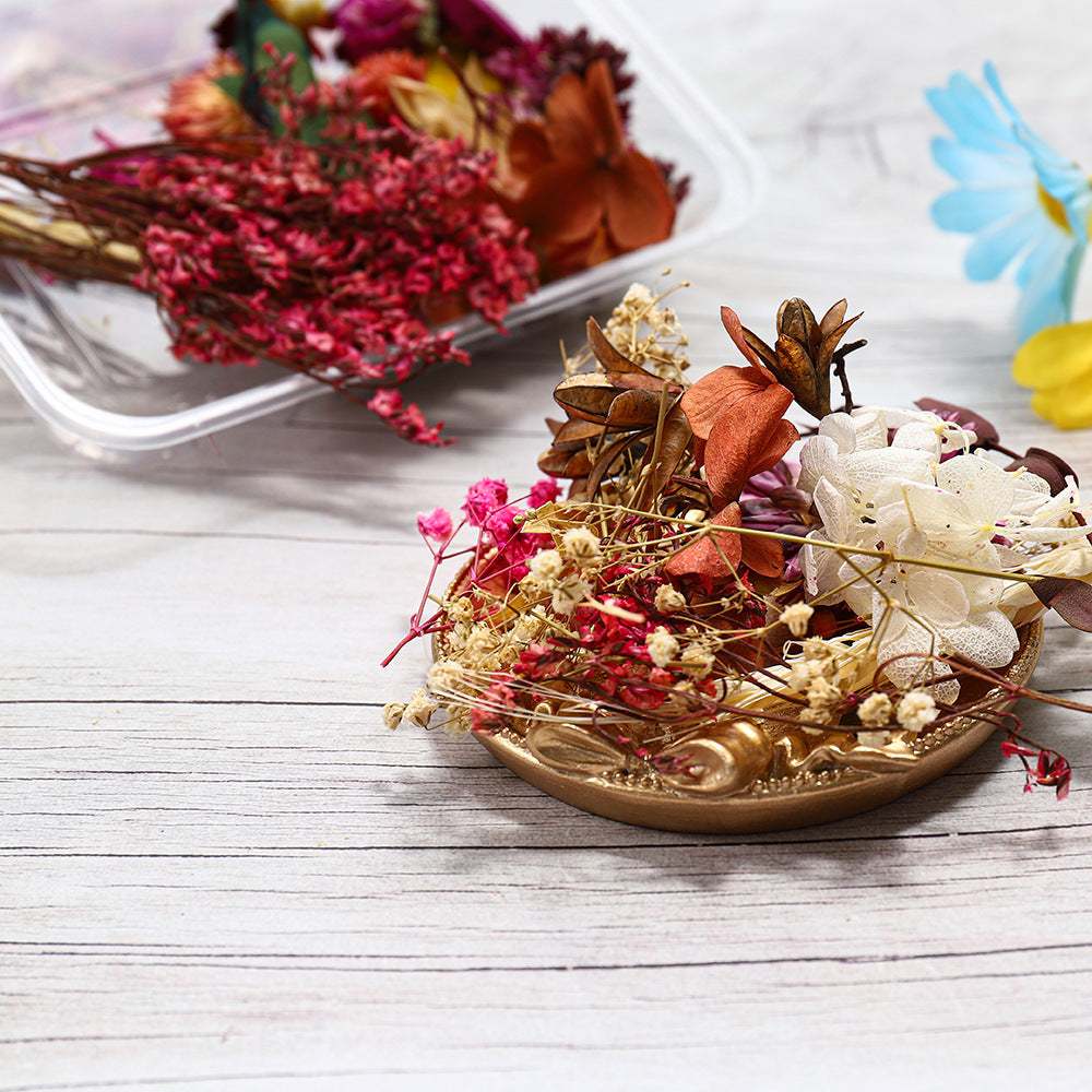 Dried Pressed Flowers and Leaves