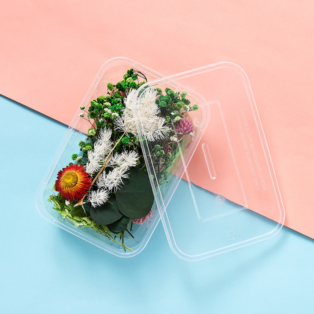 Dried Pressed Flowers and Leaves